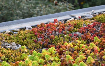 the cost of New Milton green roof installation